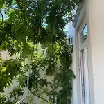 Ninho Salino 4*