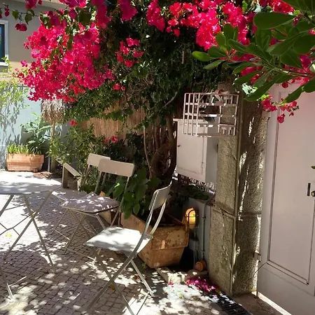 Ninho Salino Cascais