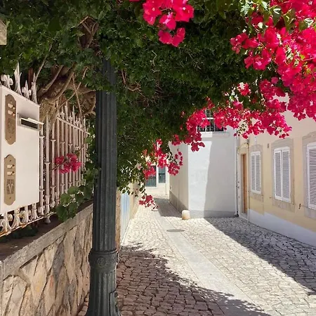 Pensionat Ninho Salino