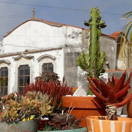 Ninho Salino Guest house Cascais