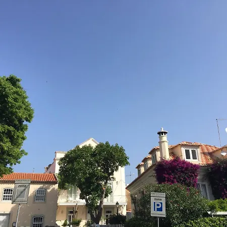 Ninho Salino Cascais