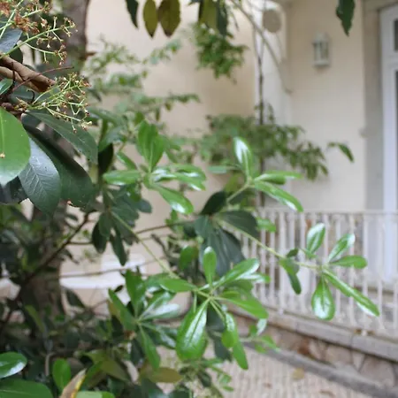 Ninho Salino Cascais