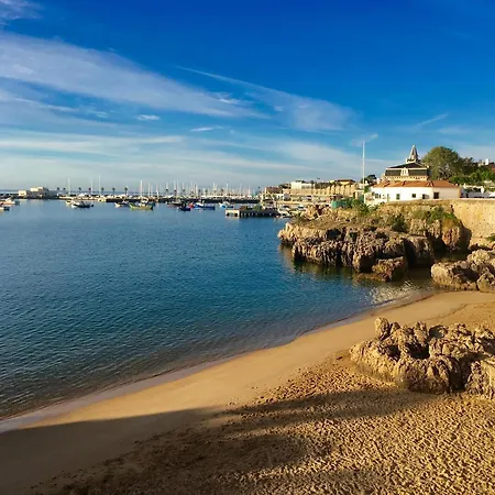 Ninho Salino * Cascais