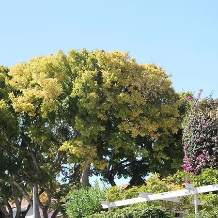 Gasthof Ninho Salino Cascais