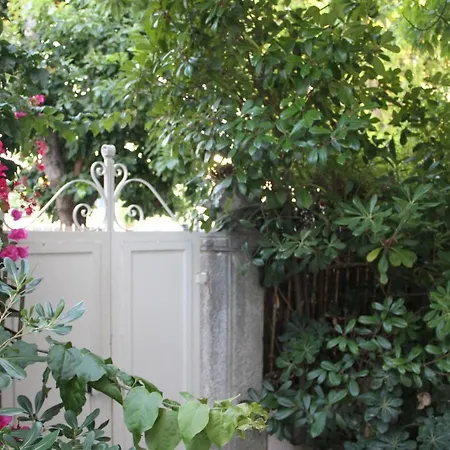 Guest house Ninho Salino 4*