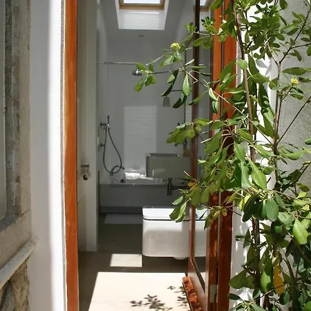 Ninho Salino Κασκαΐς