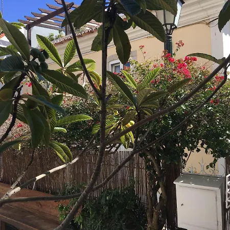 Ninho Salino Guest house Cascais