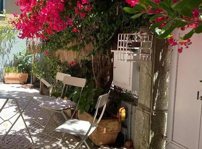 Ninho Salino Cascais