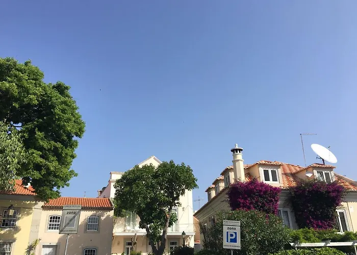 Ninho Salino Cascais