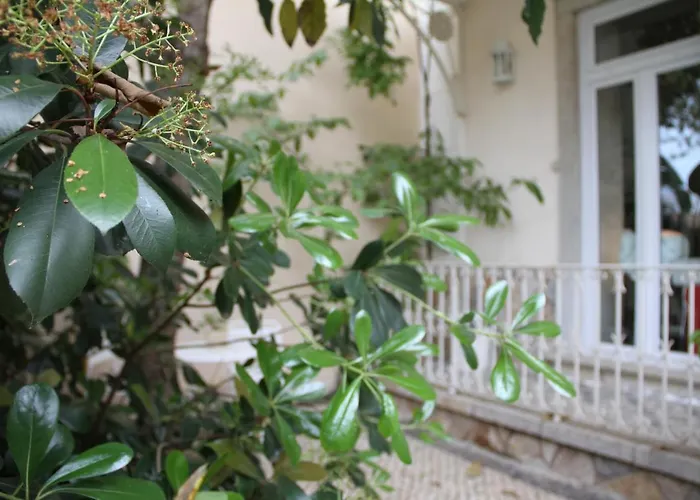 Ninho Salino Cascais